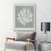 Richard Gene Barbera Seagrass Series | Prints by RGB Fine Art. Item composed of paper