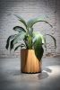 Wooden slat planter 01 Pot | Vases & Vessels by Manuel Barrera Habitables. Item composed of oak wood