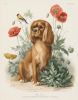Bespoke Pet Portrait | Prints by Studio Linnæus. Item made of walnut & glass compatible with boho and mid century modern style