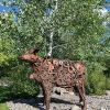 Ivy | Public Sculptures by KIRSTEN KAINZ | Bozeman Public Library in Bozeman. Item composed of steel in contemporary or eclectic & maximalism style