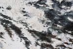 Winter Horse | Oil And Acrylic Painting in Paintings by Irena Orlov. Item composed of canvas and synthetic