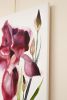 Iris No. 208 : Original Watercolor Painting | Paintings by Elizabeth Becker. Item made of canvas compatible with minimalism and contemporary style