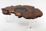 Claro Walnut Burl Ring on Lucite Coffee Table | Tables by Lumberlust Designs | Private Residence in Kansas City, KS in Kansas City. Item made of walnut with glass