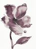 Wild Rose No. 16 : Original Ink Painting | Watercolor Painting in Paintings by Elizabeth Becker. Item made of paper compatible with boho and minimalism style