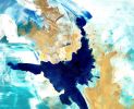 The Eighth Month | Oil And Acrylic Painting in Paintings by Nicolle Cure. Item composed of synthetic