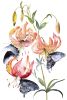 Lilies and Swallowtails : Watercolor Painting on Canvas | Paintings by Elizabeth Becker. Item composed of canvas compatible with minimalism and contemporary style