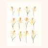Daffodils | Prints by Elana Gabrielle. Item composed of paper