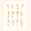 Daffodils | Prints by Elana Gabrielle. Item composed of paper