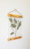 Eucalyptus press flower wall art rustic decorative frame set | Pressing in Art & Wall Decor by Studio Wildflower. Item composed of walnut and brass in boho or country & farmhouse style