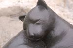 Sleeping Cats | Public Sculptures by Jim Sardonis. Item composed of bronze
