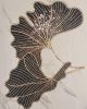 Ginkgo leaves wall installation | Mosaic in Art & Wall Decor by Julia Gorbunova. Item made of glass compatible with contemporary and art deco style