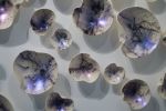 Porcelain Wall Sculpture, 92 Pieces, Violet | Wall Hangings by SevaCeramics. Item composed of stoneware