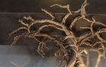 "Roots Large Bar 2" | Pendants by Fragiskos Bitros