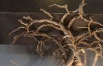 Roots Large Bar 2 | Pendants by F+M FOS - Anna Maria Fragiskos Bitros. Item made of copper compatible with modern style