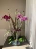 Orchid Arrangement | Floral Arrangements by Fleurina Designs. Item composed of ceramic