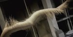 Suspended Fiber Sculpture | Sculptures by Charlotte Blake. Item composed of wood and cotton in contemporary or modern style