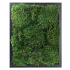 100% Live Moss Wall Art in Black | Decorative Objects by Moss Pure. Item made of wood compatible with contemporary and industrial style