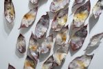 Sienna Leaves Wall Sculpture, 60 Pieces Set, Multi-Color | Wall Hangings by SevaCeramics. Item composed of ceramic