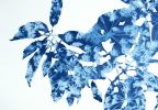 Spring Madrone V (30 x 22" cyanotype painting on paper) | Watercolor Painting in Paintings by Christine So. Item made of paper works with boho & country & farmhouse style