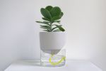Kapi big pebble | Planter in Vases & Vessels by Krafla | Krafla Studio in Kraków. Item made of ceramic with glass works with minimalism & contemporary style