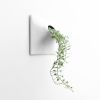 Node L Wall Planter, 12" Mid Century Modern Planter, White | Plant Hanger in Plants & Landscape by Pandemic Design Studio. Item made of stoneware compatible with minimalism and mid century modern style