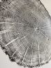 Maine Tree Ring Print, York Maine | Prints by Erik Linton. Item composed of paper