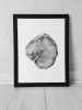 Albion Basin Tree | Prints by Erik Linton. Item made of paper