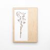 Herbarium: Eryngium Planum - Wall Light Sculpture | Wall Sculpture in Wall Hangings by Mateusz Wappa Design & Research. Item composed of birch wood and glass in minimalism or modern style