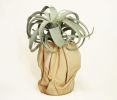 Sculpted Leather Vase | Vases & Vessels by Ian James. Item made of leather works with mid century modern & contemporary style