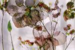 CHAMELEON (18"x12" — 72"x48") | Surreal Gardens | Wall Art | Digital Art in Art & Wall Decor by Jess Ansik. Item composed of metal and paper in boho or eclectic & maximalism style