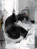 Graffiti Woman | Prints by Linda lhermite. Item made of canvas with metal works with contemporary & industrial style