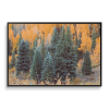 SHIFT CHANGE︱Telluride, CO︱Fine Art Print | Photography by Jess Ansik. Item made of paper works with country & farmhouse & rustic style