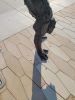 From a Different Perspective by Jane DeDecker, NSG | Public Sculptures by JK Designs and the National Sculptors' Guild