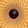 Sun in Bamboo | Wall Sculpture in Wall Hangings by Edward Linacre