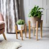 Plant stands | Plants & Landscape by Majid Lavasani. Item composed of oak wood