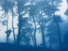 Sunrise Ridge (16 x 24 inch hand-printed cyanotype) | Photography by Christine So. Item composed of cotton and paper in boho or country & farmhouse style
